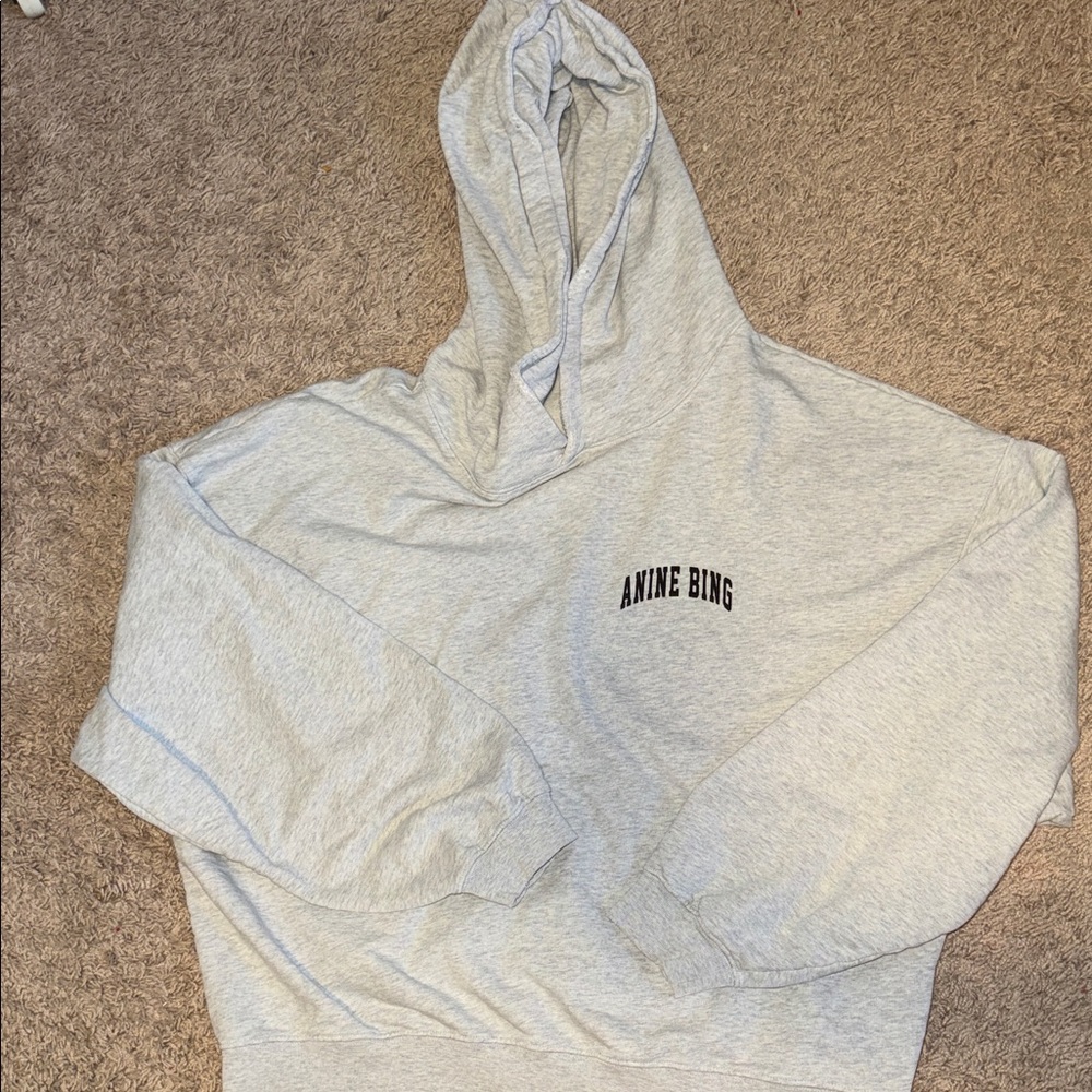 Anine Bing Gray Hoodie!